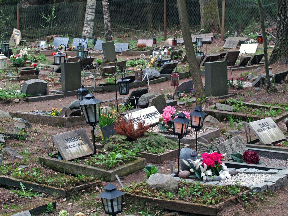 Den Westie auf dem Tierfriedhof begraben.