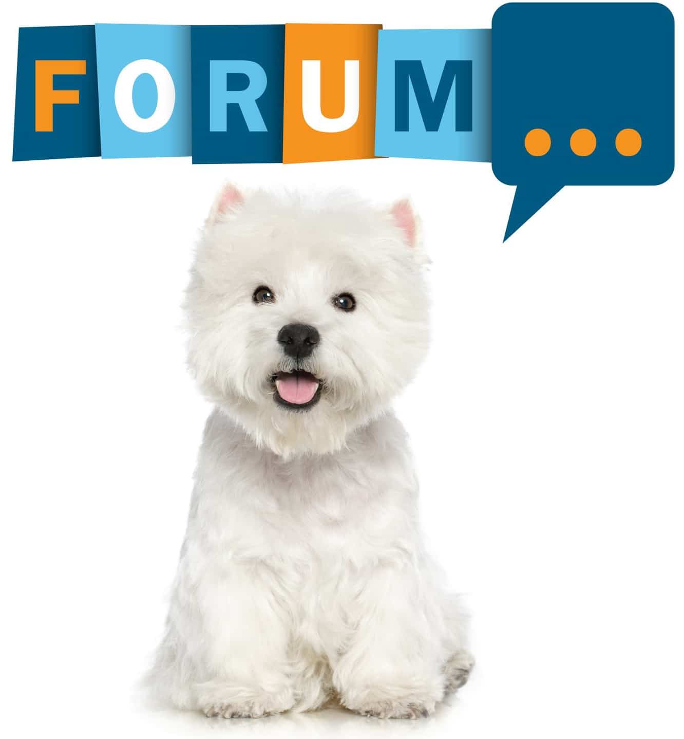 Westie Forum - Fragen und Antworten zum West Highland White Terrier